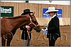 QH061_0022n.jpg(34,5 KB)