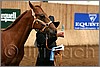 QH061_0024n.jpg(31,7 KB)