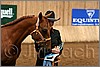 QH061_0026n.jpg(32,0 KB)