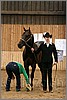 QH061_0027n.jpg(37,8 KB)