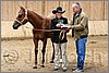 QH061_0028n.jpg(43,8 KB)
