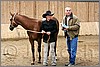 QH061_0029n.jpg(43,8 KB)