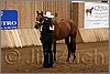 QH061_0030n.jpg(39,1 KB)