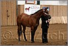 QH061_0031n.jpg(36,5 KB)