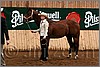 QH061_0034n.jpg(42,2 KB)