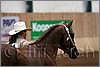 QH061_0035n.jpg(25,1 KB)