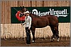 QH061_0036n.jpg(41,1 KB)
