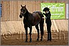 QH061_0037n.jpg(39,2 KB)