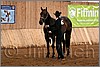 QH061_0038n.jpg(38,5 KB)