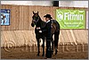 QH061_0039n.jpg(37,5 KB)
