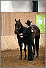 QH061_0040n.jpg(34,3 KB)