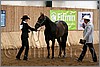 QH061_0042n.jpg(39,8 KB)