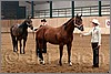 QH061_0045n.jpg(42,4 KB)