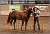 QH061_0046n.jpg(43,6 KB)