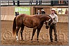 QH061_0047n.jpg(43,3 KB)