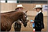QH061_0049n.jpg(29,1 KB)