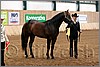 QH061_0050n.jpg(39,0 KB)