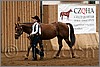 QH061_0052n.jpg(40,2 KB)