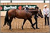 QH061_0053n.jpg(38,6 KB)