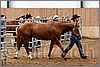 QH061_0054n.jpg(41,1 KB)