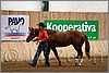 QH061_0055n.jpg(39,3 KB)