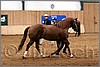 QH061_0056n.jpg(34,2 KB)