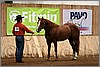 QH061_0057n.jpg(40,3 KB)