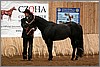 QH061_0058n.jpg(41,6 KB)