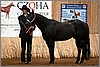 QH061_0059n.jpg(40,8 KB)