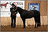 QH061_0060n.jpg(40,9 KB)