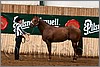 QH061_0061n.jpg(43,0 KB)