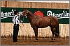 QH061_0062n.jpg(43,1 KB)