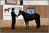 QH061_0063n.jpg(40,5 KB)