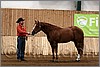 QH061_0065n.jpg(38,0 KB)