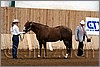 QH061_0066n.jpg(39,1 KB)