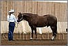 QH061_0067n.jpg(39,1 KB)