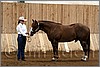 QH061_0068n.jpg(38,9 KB)