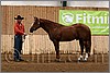QH061_0069n.jpg(38,8 KB)