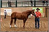 QH061_0073n.jpg(44,5 KB)