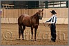 QH061_0074n.jpg(37,6 KB)