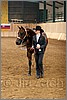 QH061_0076n.jpg(38,0 KB)
