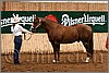 QH061_0081n.jpg(44,2 KB)