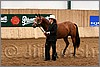QH061_0087n.jpg(38,2 KB)