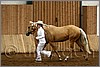 QH061_0089n.jpg(32,8 KB)