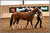 QH061_0090n.jpg(34,7 KB)