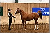 QH061_0091n.jpg(43,2 KB)