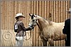 QH061_0092n.jpg(33,1 KB)