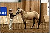 QH061_0093n.jpg(42,9 KB)