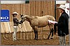QH061_0094n.jpg(40,6 KB)