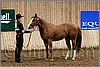 QH061_0095n.jpg(41,7 KB)